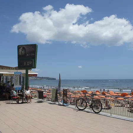 Guinea Flat -